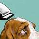 Illustration for article titled Senior Week: A Retrospectiveem/em